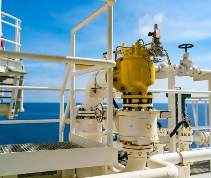 LS Manufacturing × Offshore Platform Enterprise: Bulk Delivery of Corrosion-Resistant Valve Springs